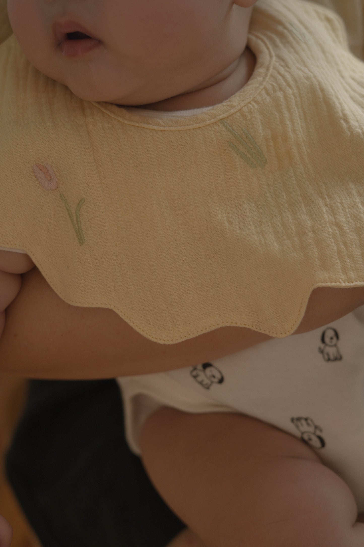 Tulips Sunshine Bibs Set