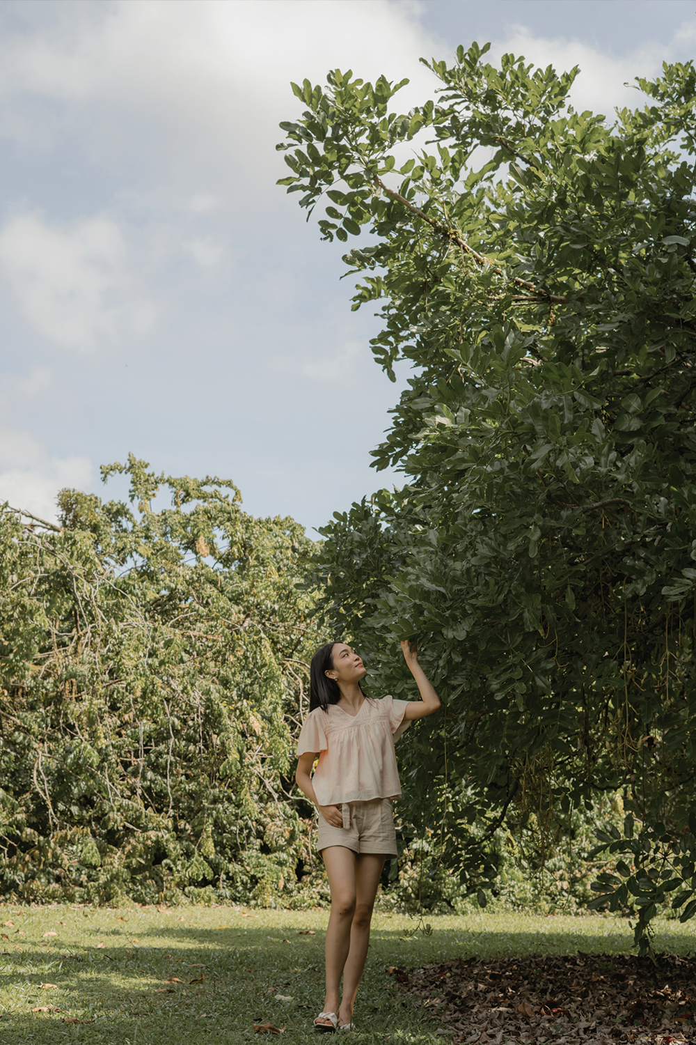 Solace Flutter Blouse (Soft Peach)